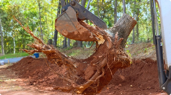 Excavator